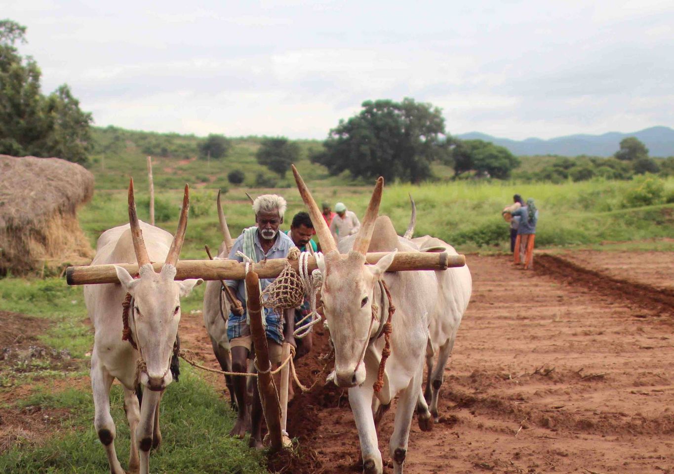Video Abstract - Beyond bad weather:Climates of Uncertainty in Rural India by Tanya Matthan Promo Image