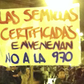 Video Abstract - Revolturas: resisting multinational seed corporations in Colombia Promo Image
